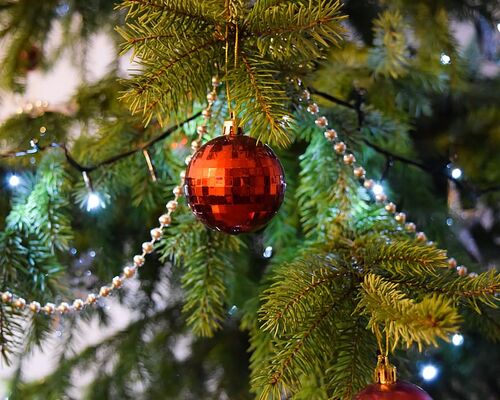 christmas-christmas-decoration-christmas-tree-close-up